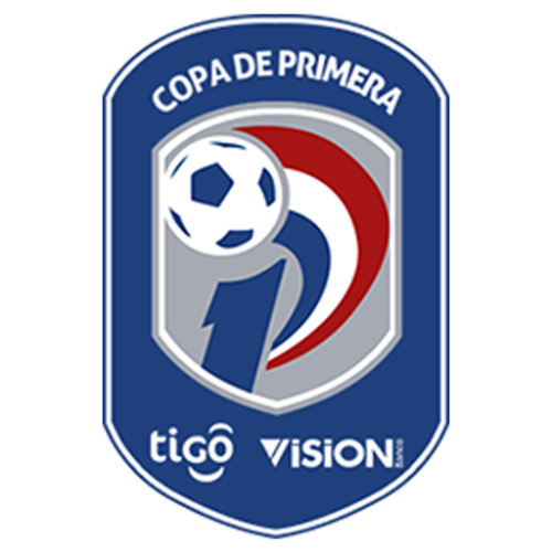 Primera División Ascenso/Descenso Playoffs